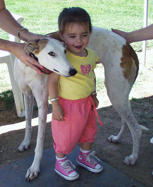 Greyhound and child